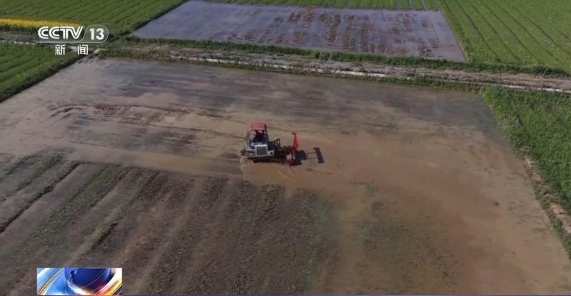  科技助力春耕；湖南常德育秧提速；多地农资运输畅通无阻。 新闻