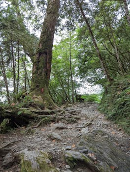 A股市场面临持续调整压力;银行理财资金动态备受瞩目;专家建议短期采取稳健策略。 股票财经 A股市场面临持续调整压力;银行理财资金动态备受瞩目;专家建议短期采取稳健策略。 股票财经 A股市场面临持续调整压力;银行理财资金动态备受瞩目;专家建议短期采取稳健策略。 股票财经
