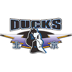  深度揭秘：北京队逆境反弹的战术执行法则 体育新闻 深度揭秘：北京队逆境反弹的战术执行法则 体育新闻