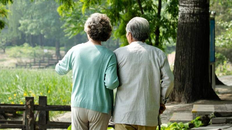  跨境物流的隐形壁垒与突围：中越铁路建设背后的理性审视 新闻