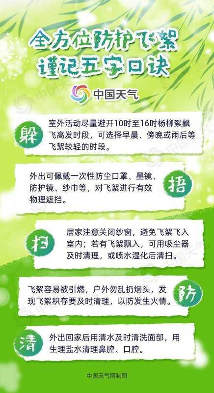 【城市暗战】杨柳絮的微观入侵：一份来自医学实验室的一线调查报告