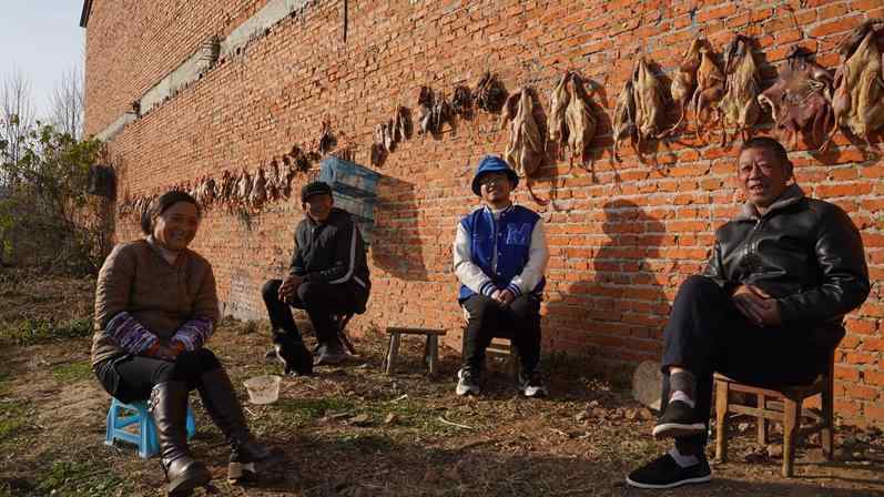  土地承包再延三十年：政策逻辑、深层意涵与农村改革新路径 新闻