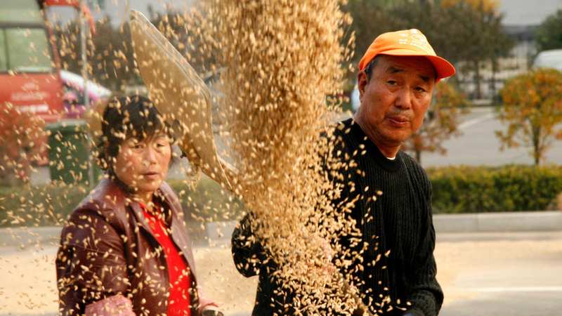  土地承包再延三十年：政策逻辑、深层意涵与农村改革新路径 新闻