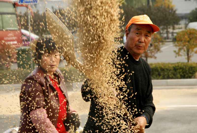  土地承包再延三十年：政策逻辑、深层意涵与农村改革新路径 新闻