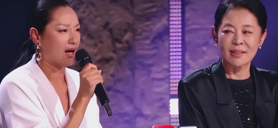  【深度复盘】规则意识崩塌与公众人物信任危机：倪萍事件的系统性剖析 娱乐新闻