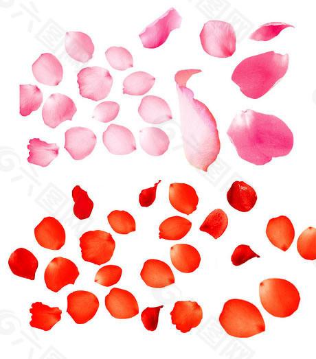 证券操纵案深度解构:从行政处罚到司法裁判的技术链路全解析 股票财经