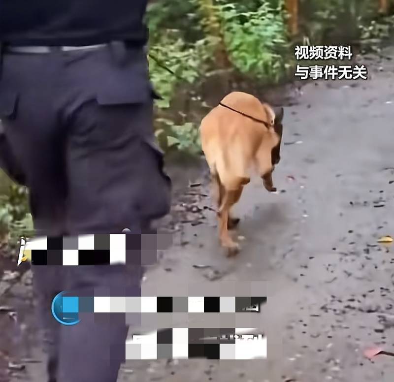  【技术复盘】从监控盲区到搜救盲点：安庆女童失踪事件的108小时深度解析 新闻