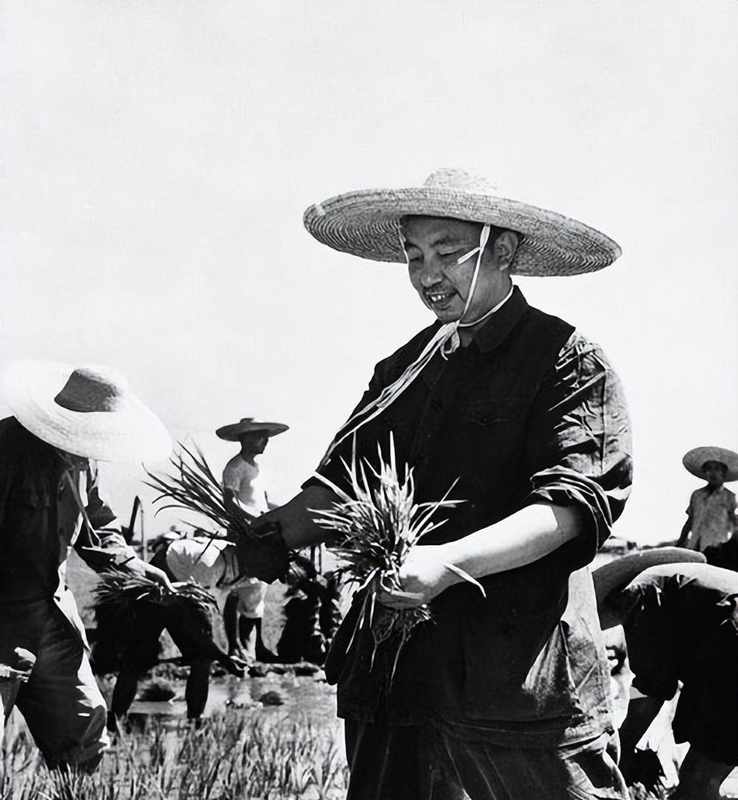  一项跨越半个世纪的“技术决策”：毛主席纪念堂背后的科学博弈与大国担当 新闻