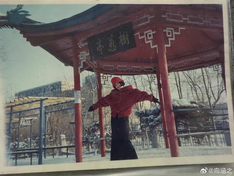  从「反骨晒妈」看00后社交表达：一场关于亲子关系解构的数据化复盘 娱乐新闻