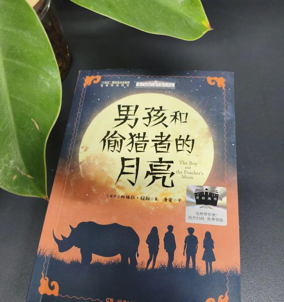  月光下的抉择：那些在生存边缘挣扎的少年，如何找回内心的光 影视小说