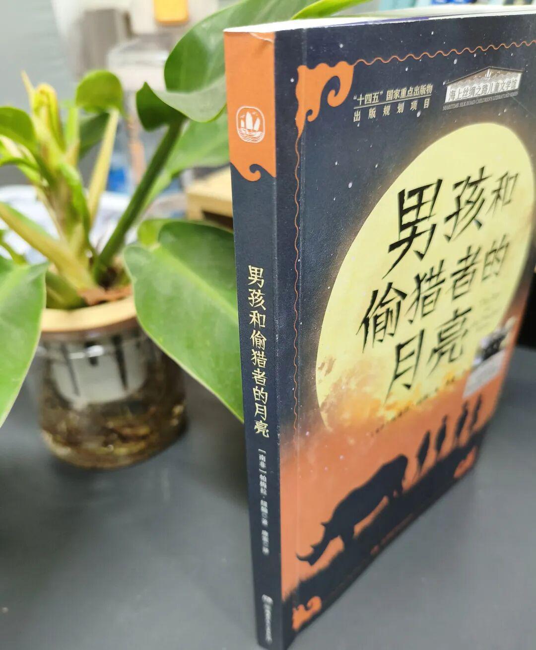  月光下的抉择：那些在生存边缘挣扎的少年，如何找回内心的光 影视小说