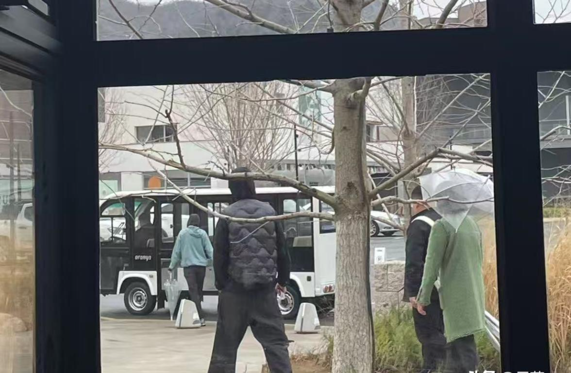  从「偶遇」看明星家庭的隐私博弈：魏晨夫妇的信息管理策略解析 娱乐新闻