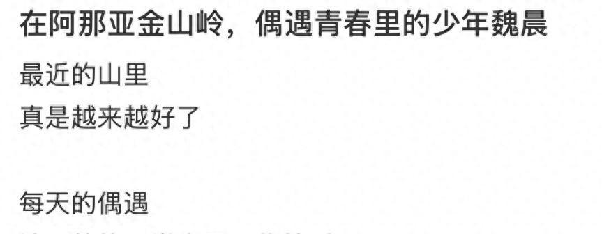  从「偶遇」看明星家庭的隐私博弈：魏晨夫妇的信息管理策略解析 娱乐新闻