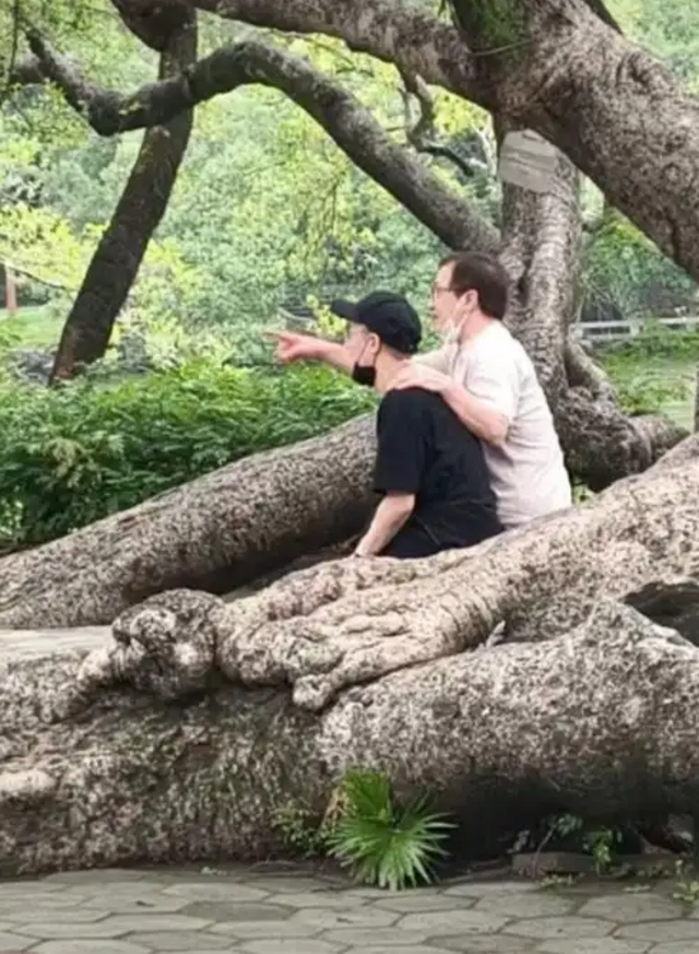  动作电影的商业符号学：成龙72岁生日的深层解码 娱乐新闻