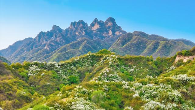  技术视角下的西镇吴山白鹃梅摄影赏花活动：生态资源与文旅IP深度解析 文化旅游
