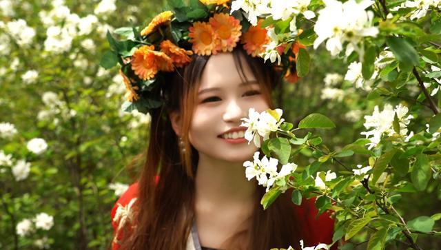  技术视角下的西镇吴山白鹃梅摄影赏花活动：生态资源与文旅IP深度解析 文化旅游
