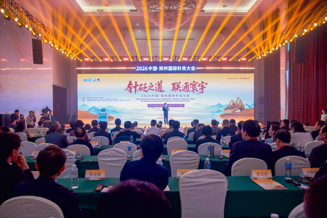  当银针连接世界：一位中医师的全球化故事 文化旅游