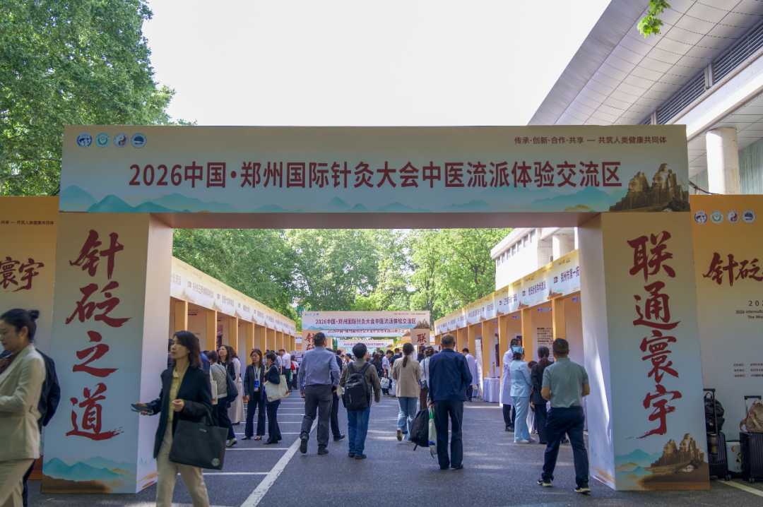  当银针连接世界：一位中医师的全球化故事 文化旅游