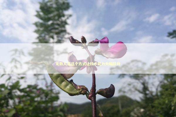 无数人靠这个方式让技术能力大幅跃升 新闻