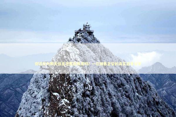 你还在为聊天信息泄露而焦虑吗？一位销售主管的真实故事分享