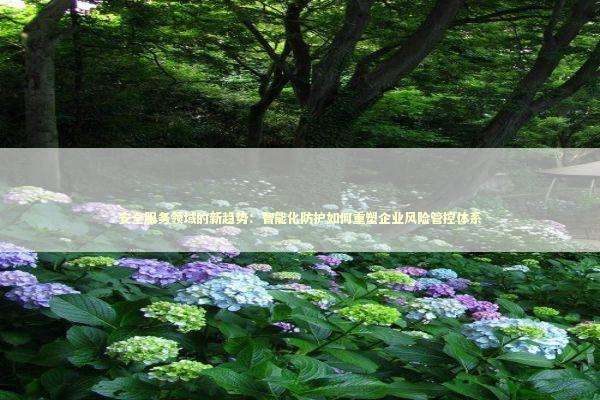 安全服务领域的新趋势：智能化防护如何重塑企业风险管控体系 IT技术