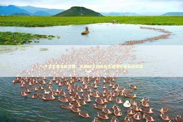 一个文艺青年的觉醒：从刷帖子到亲自去现场听音乐的转变 娱乐新闻