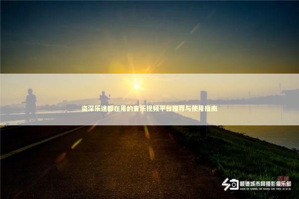 资深乐迷都在用的音乐视频平台推荐与使用指南 影视小说