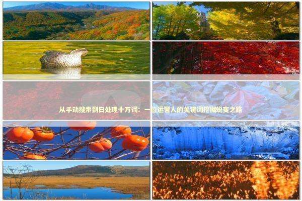 从手动搜索到日处理十万词：一位运营人的关键词挖掘蜕变之路 IT技术