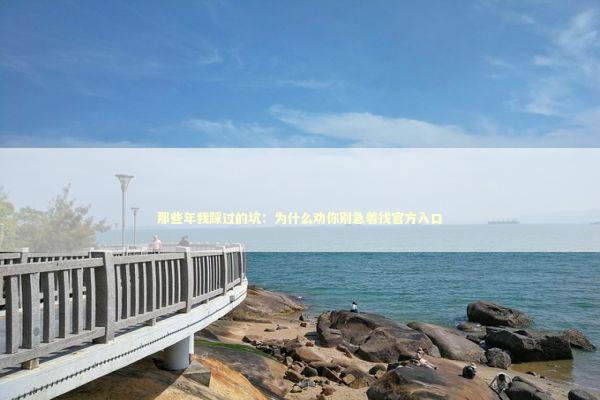 那些年我踩过的坑：为什么劝你别急着找官方入口 IT技术