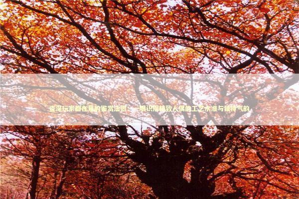 资深玩家都在用的鉴赏法则：一眼识别精致人偶的工艺水准与独特气韵 新闻