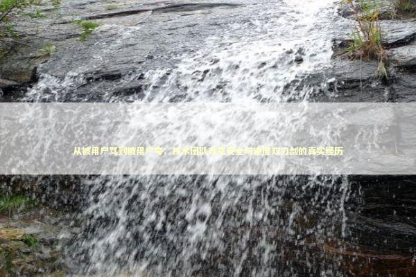 从被用户骂到被用户夸：技术团队攻克安全与速度双刃剑的真实经历 IT技术