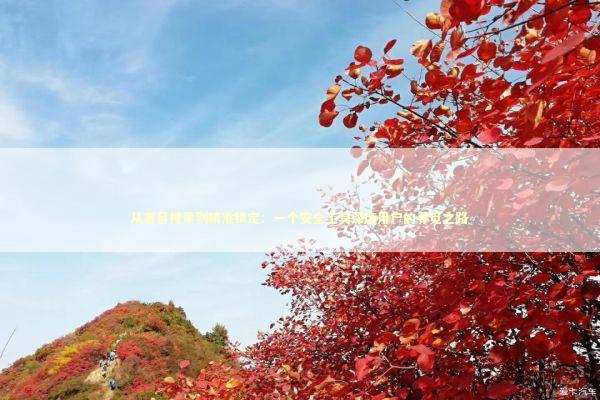 从盲目搜索到精准锁定：一个安全工具深度用户的寻觅之路 IT技术